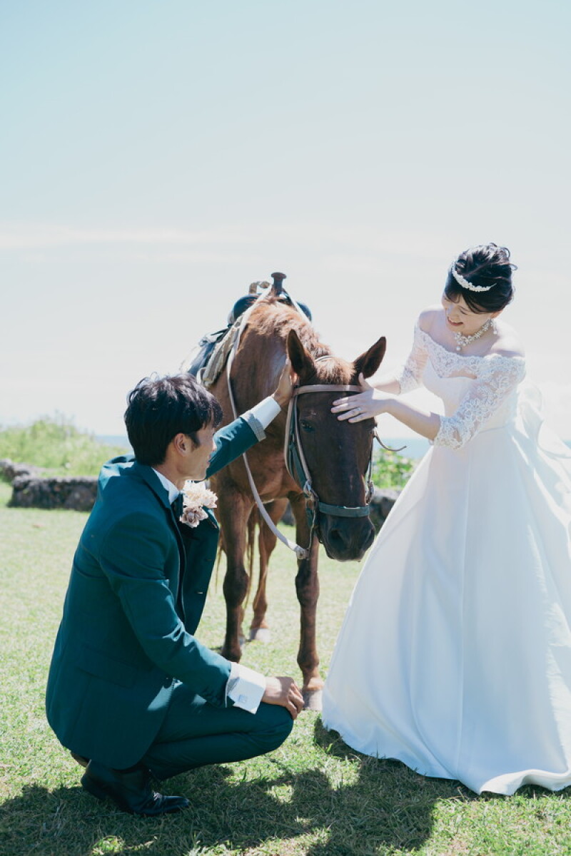 お馬さんとフォトウェディング✧˖