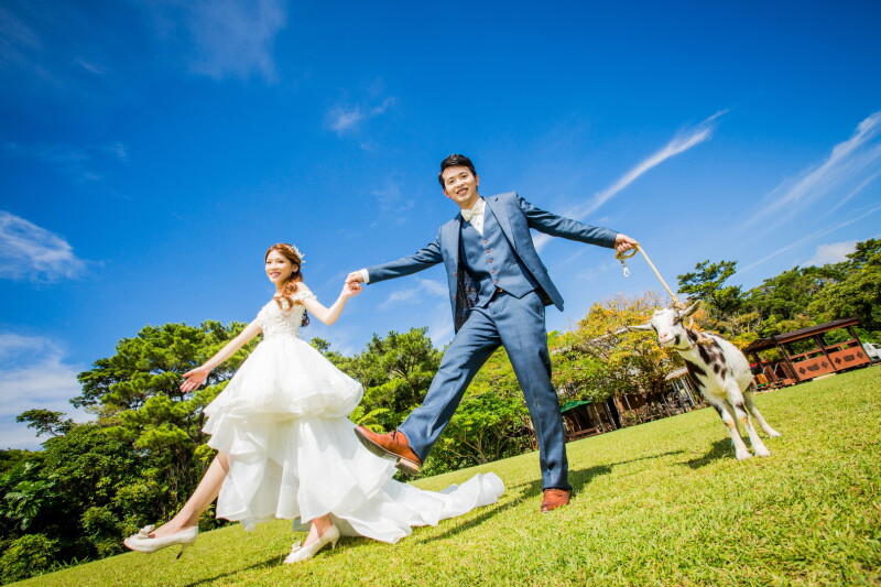 動物たちも祝福♡ ビオスの丘で撮る幸せあふれるウェディングフォト