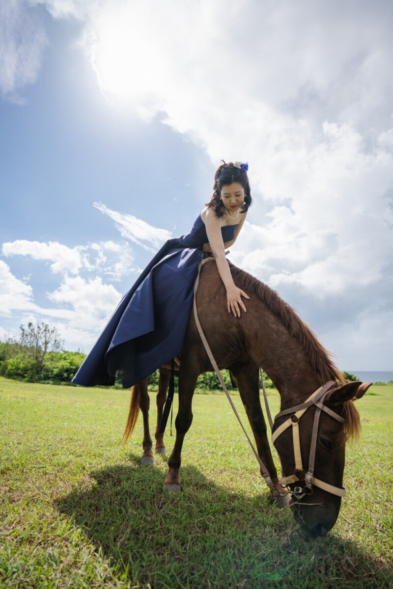 お馬さん撮影❕