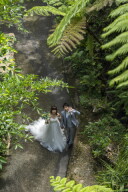 自然に包まれる♡ビオスの丘で叶えるフォトウェディング