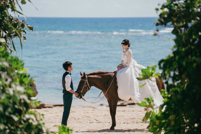 お馬さんとフォトウェディング✧˖