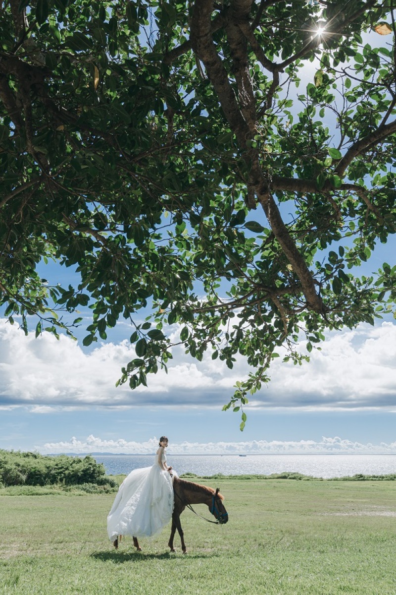 ~素敵な馬とのフォトプランのお写真ご紹介~