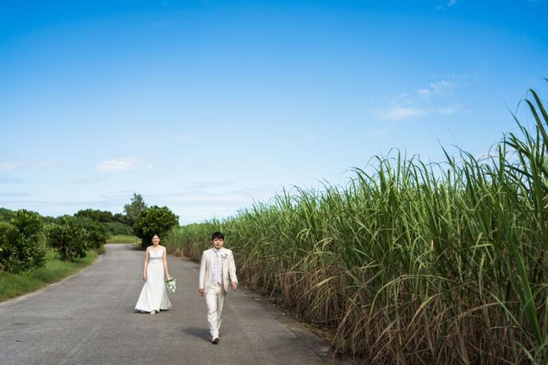 ビーチに緑 ♡ 宮古島編 