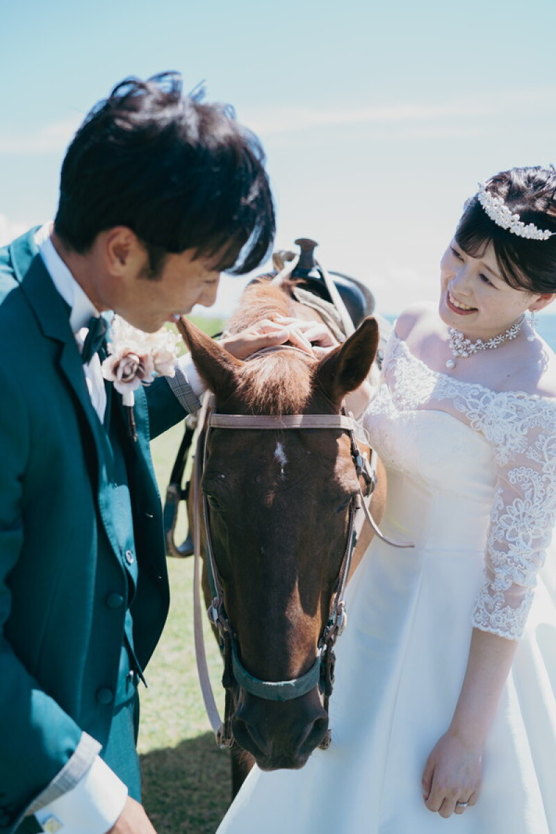 お馬さんとフォトウェディング✧˖