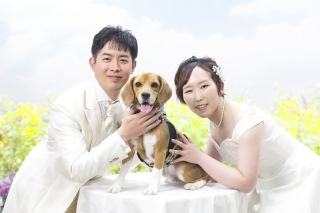 わんちゃんとの撮影【洋装編】