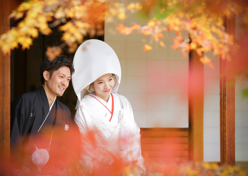秋の紅葉シーズン撮影!