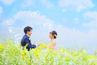 花粉症でも春の写真を楽しめます