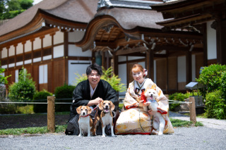 愛犬たちとご一緒に
