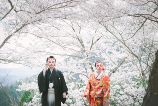 満開の桜で撮影を
