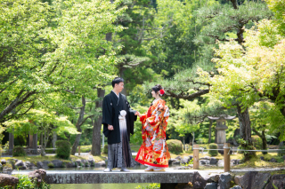 春の新緑フォト