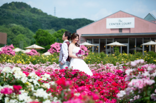 綺麗なお花に囲まれて