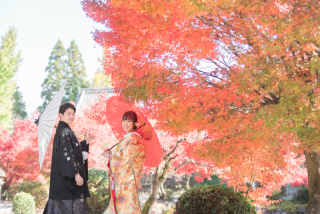 秋の撮影予約、受付中❗️