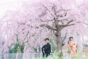 桜フォトご予約受付中!