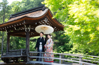 5月は新緑とバラのシーズンです！