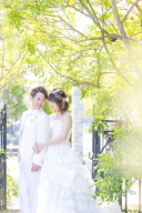 新緑の撮影真っ最中！