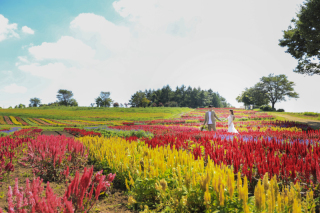 アンシャンテ那須&times;ケイトウ