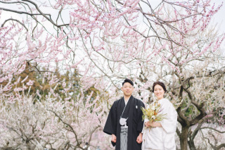 梅まつり開催&times;偕楽園！