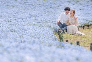 ネモフィラの花言葉♡