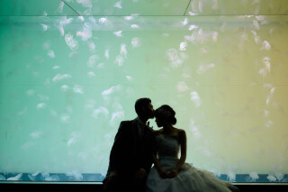 水族館&times;フォトウェディング