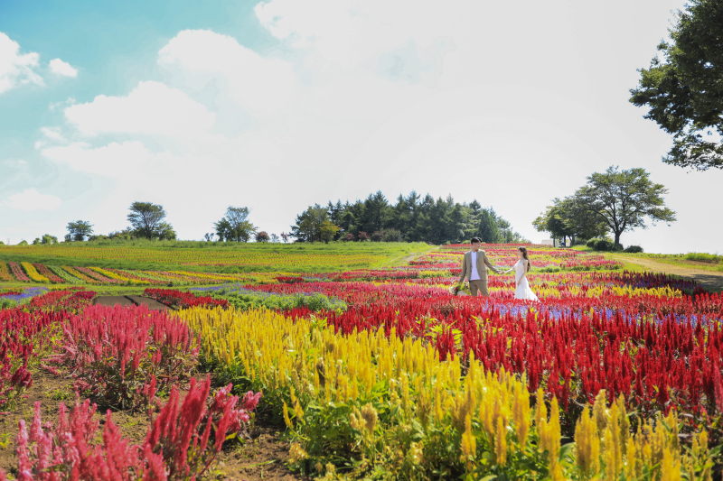 花絶景×アンシャンテ那須店