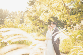 黄金に輝くロケーションフォト