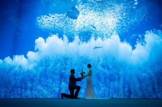 まるで海の中♡水族館でプロポーズシーンを再現！