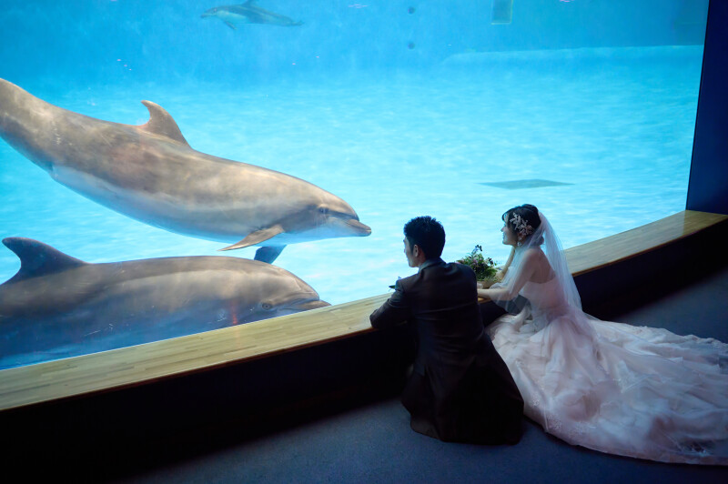 ◈青く輝く水族館ロケ◈水槽のイルカと並んで残すお二人らしい温かな姿の洋装撮影
