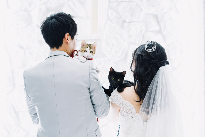 猫の日×アンシャンテ
