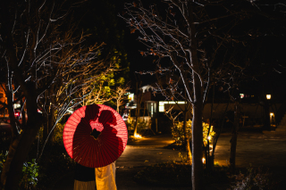 和装&times;番傘&times;シルエット