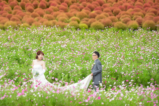 コキア&times;コスモス&times;洋装ロケーション