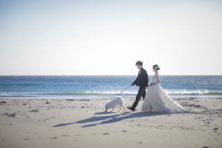 海&times;わんちゃん♪