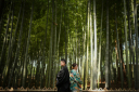 竹林&times;和装ロケーション
