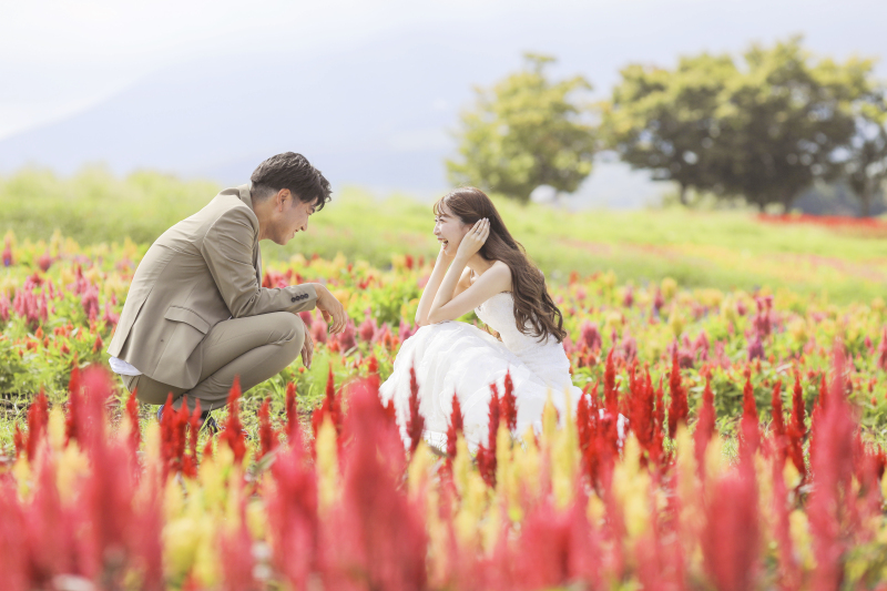 アンシャンテ那須×お花畑ロケ