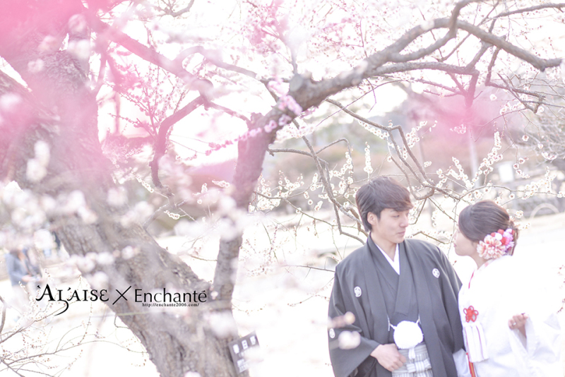 和装ロケーション