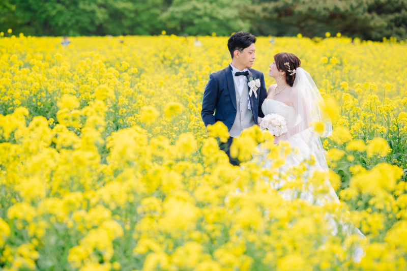 菜の花畑×ロケーションフォト