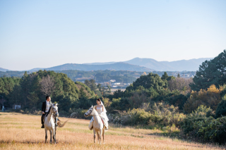 乗馬&times;ウェディングフォト