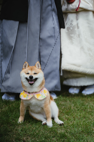 ◈ 家族みんなでお着物ショット ◈ わんこの笑顔が主役の、ほっこり和装フォト