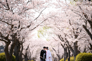 エイプリルフール⭐️