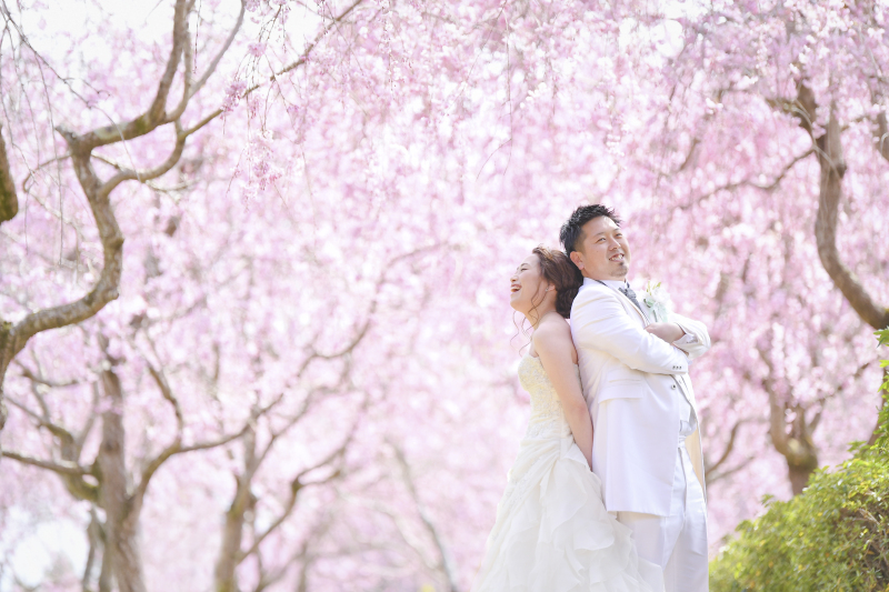 もうすぐ桜シーズン！