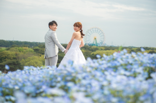 大好評！ネモフィラ撮影