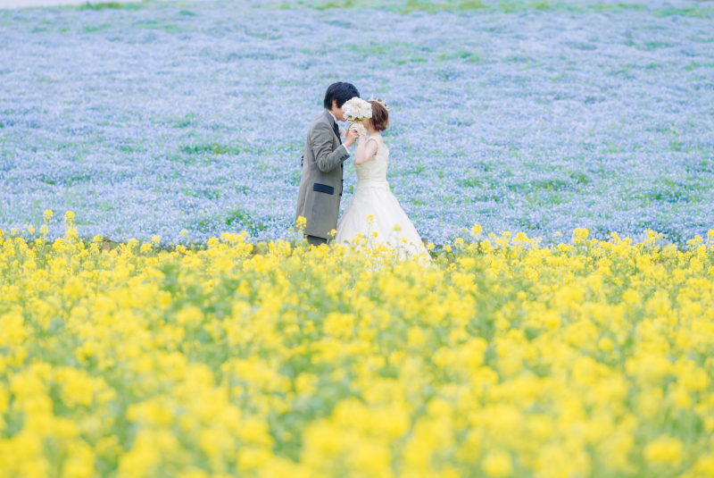 ネモフィラ&菜の花♡