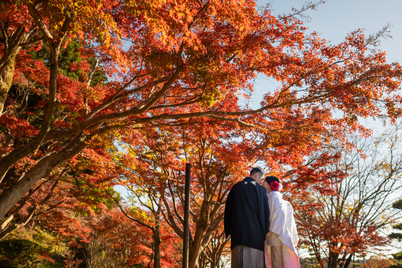 ◈色鮮やかな紅葉ロケ◈もみじの木下で残すお二人らしい温かな佇まいの和装撮影
