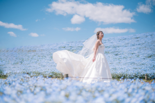 ネモフィラ＆、、、②☆