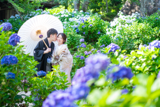 ◈ 紫陽花に包まれて ◈ 季節を彩る、鮮やかで大人可愛い和装フォト
