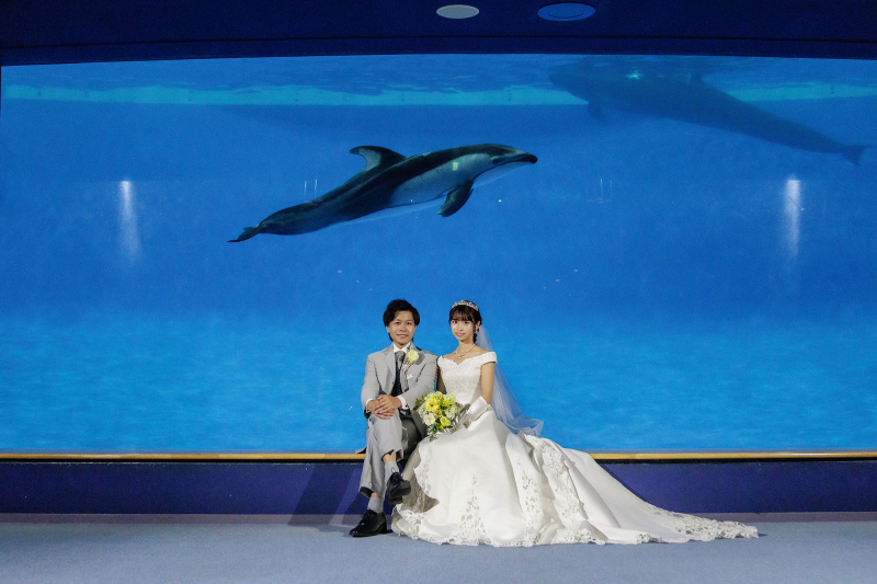 ◈ イルカが見守る特等席 ◈ 水族館でしか撮れない、透明感あふれる1枚