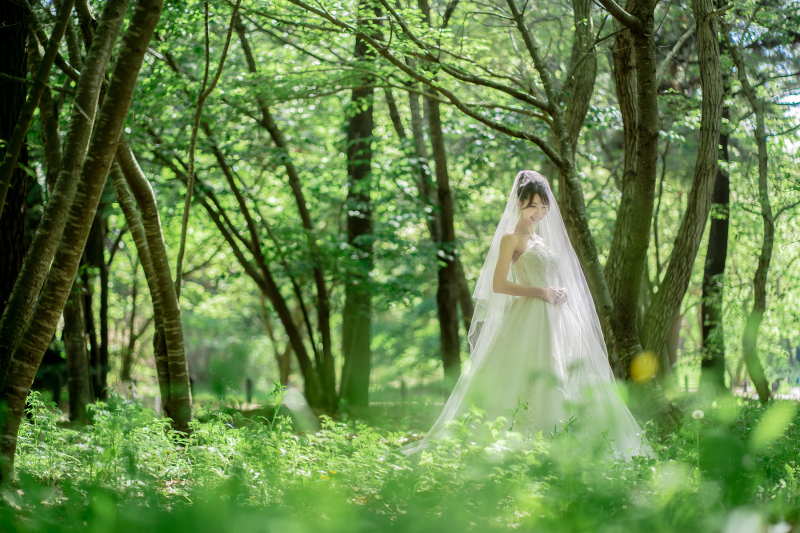 ◈ 森の中に差し込む光 ◈ 緑に囲まれて、自然体で撮るソロショット