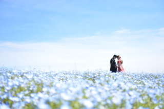 ネモフィラ＆　、、、！