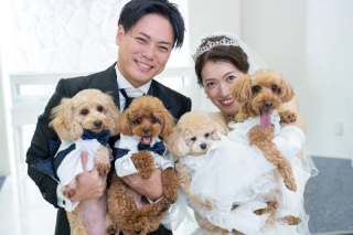 わんちゃん&times;洋装撮影