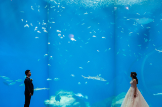 水族館ロケーション！！