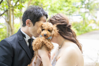 ペット撮影&times;アンシャンテ